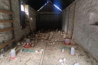 Commercial Property for Sale in Koppies Rural Free State